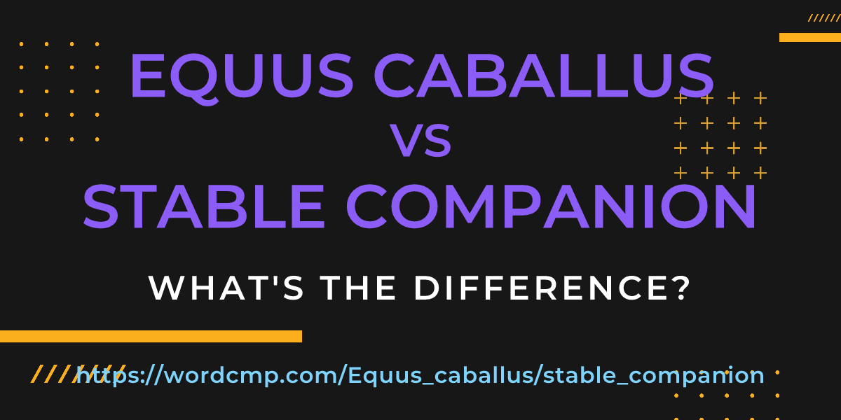 Difference between Equus caballus and stable companion