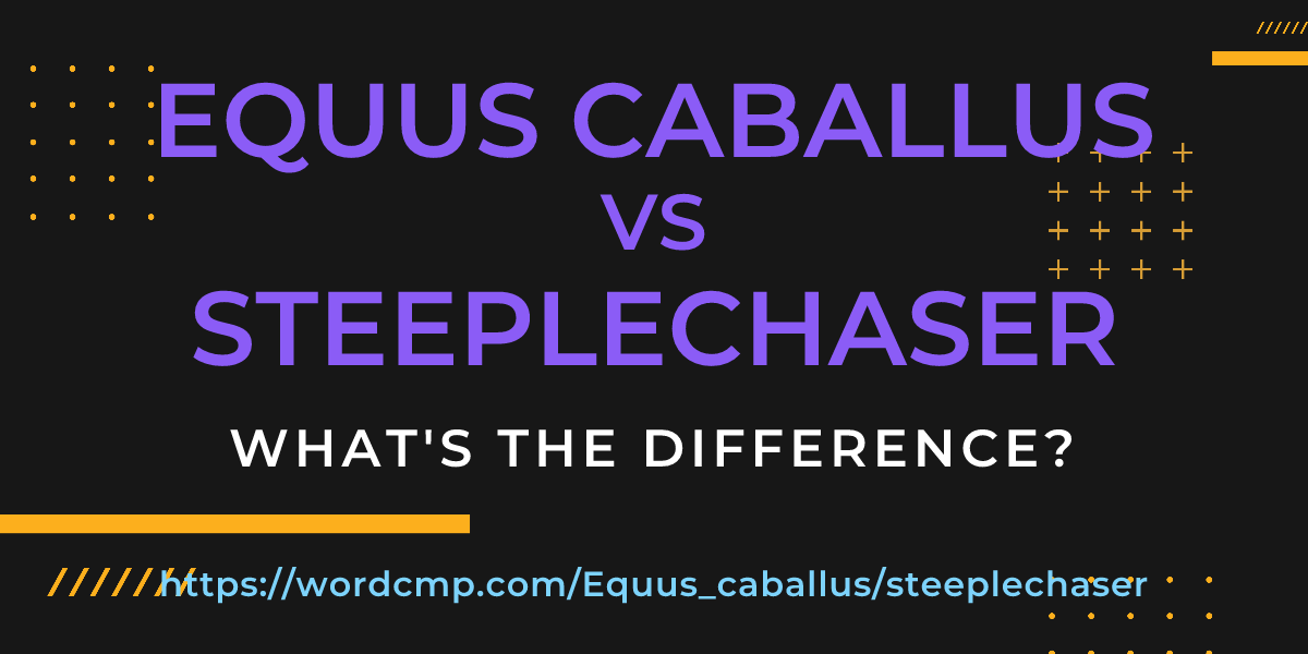 Difference between Equus caballus and steeplechaser