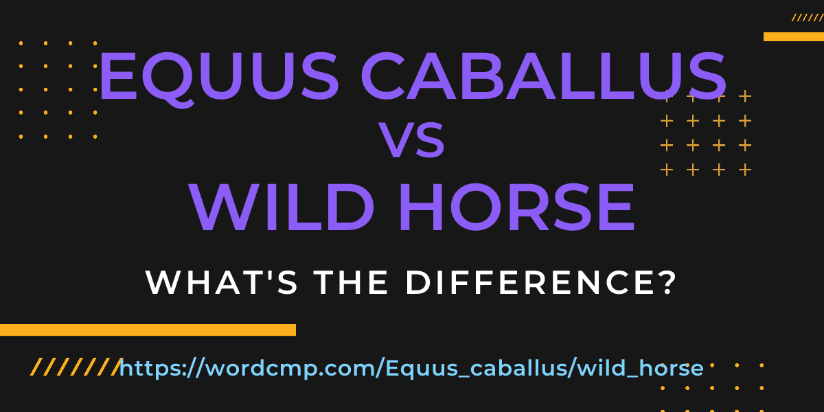 Difference between Equus caballus and wild horse