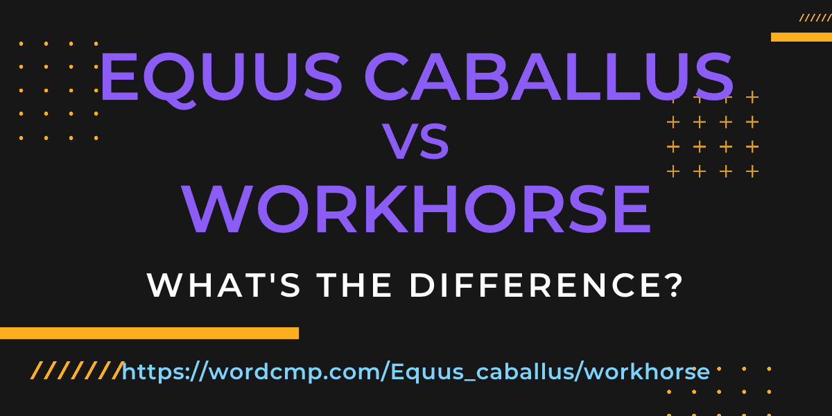 Difference between Equus caballus and workhorse
