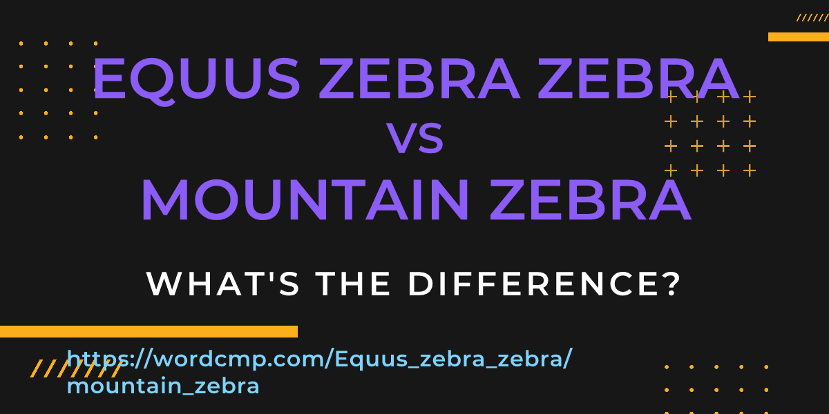 Difference between Equus zebra zebra and mountain zebra