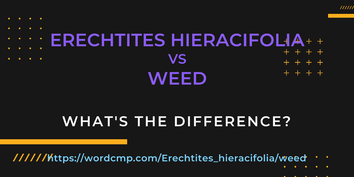 Difference between Erechtites hieracifolia and weed