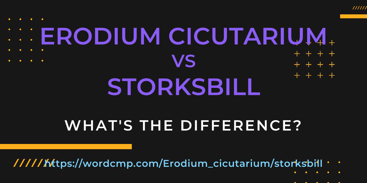 Difference between Erodium cicutarium and storksbill