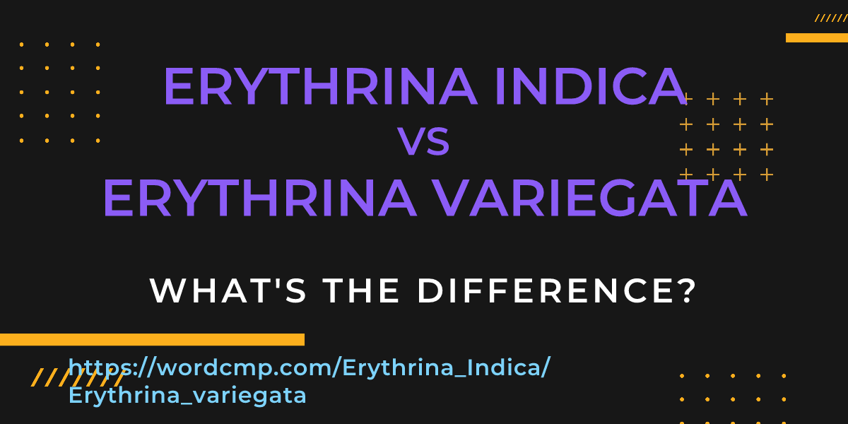 Difference between Erythrina Indica and Erythrina variegata