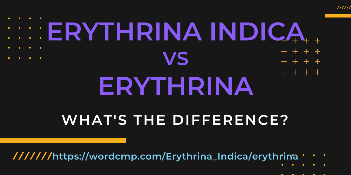 Difference between Erythrina Indica and erythrina