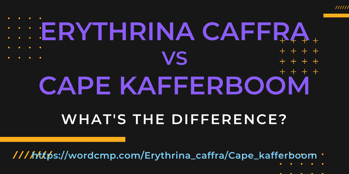 Difference between Erythrina caffra and Cape kafferboom