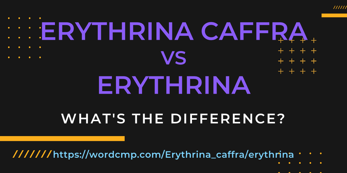 Difference between Erythrina caffra and erythrina