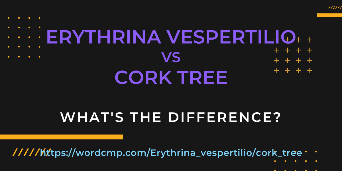 Difference between Erythrina vespertilio and cork tree