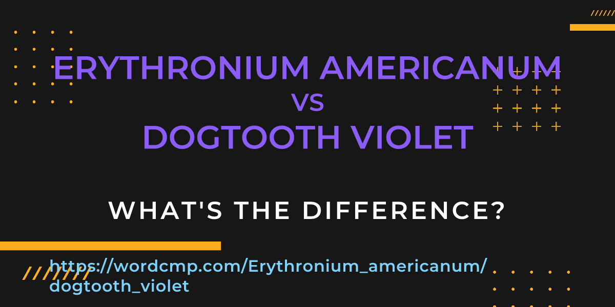 Difference between Erythronium americanum and dogtooth violet
