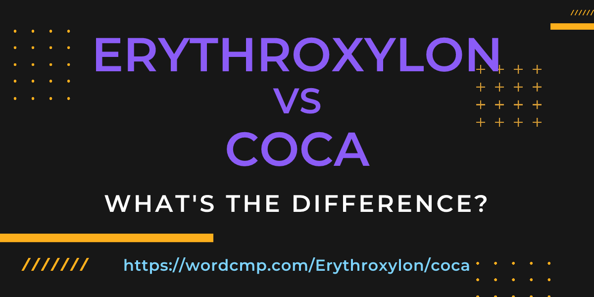 Difference between Erythroxylon and coca