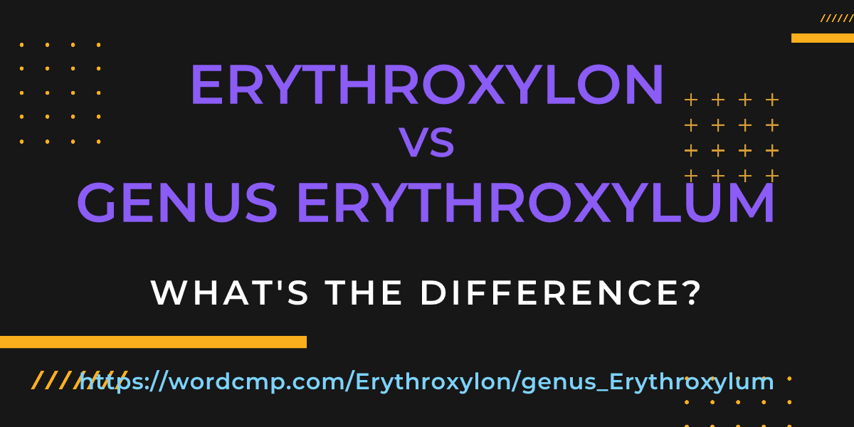 Difference between Erythroxylon and genus Erythroxylum