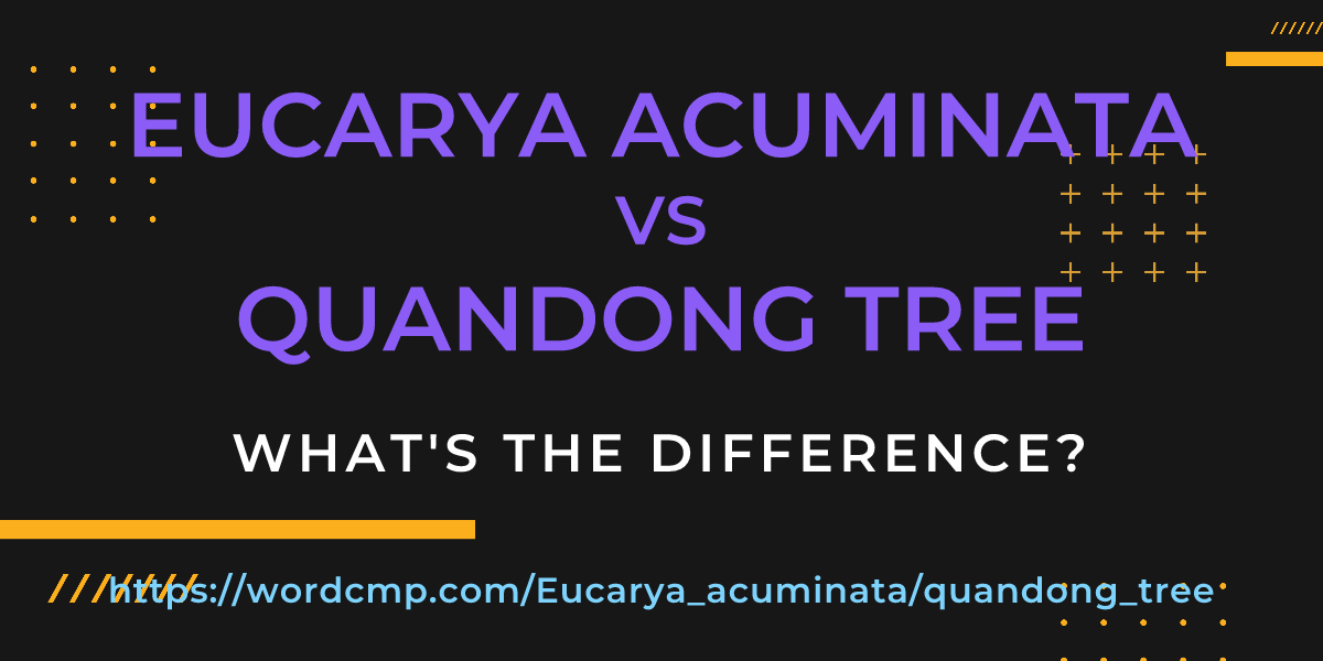 Difference between Eucarya acuminata and quandong tree