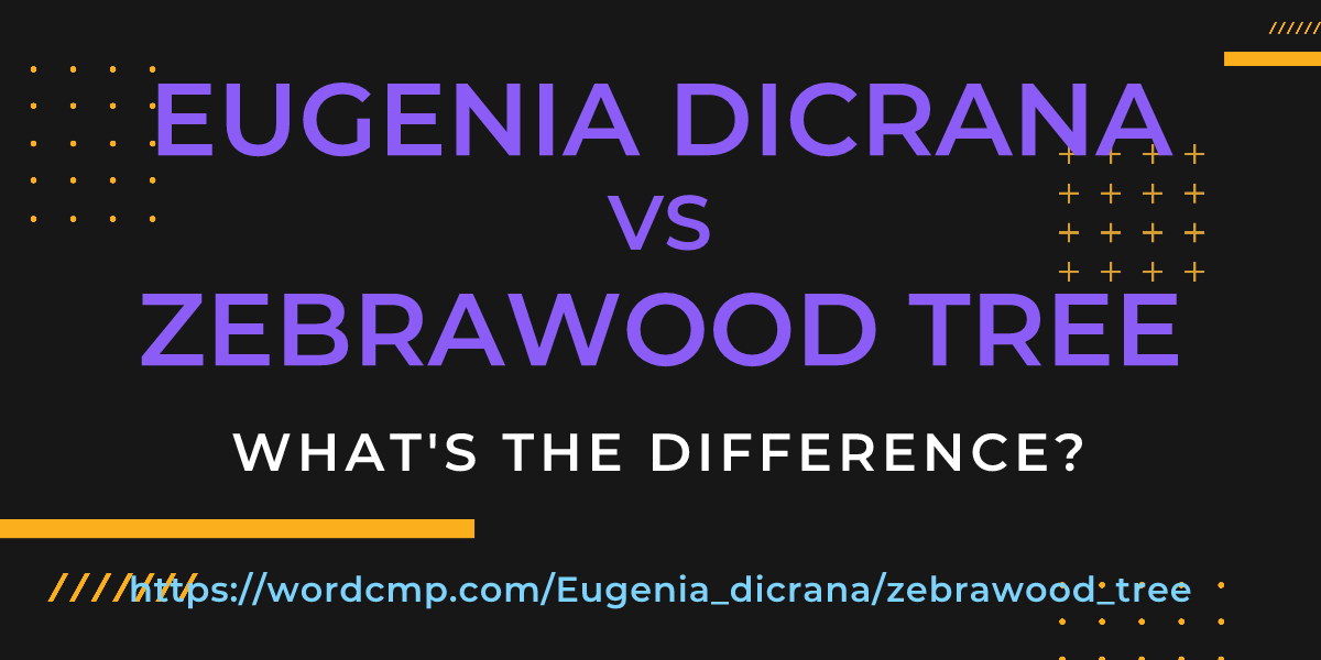Difference between Eugenia dicrana and zebrawood tree