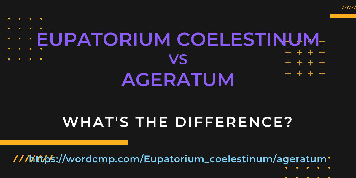 Difference between Eupatorium coelestinum and ageratum