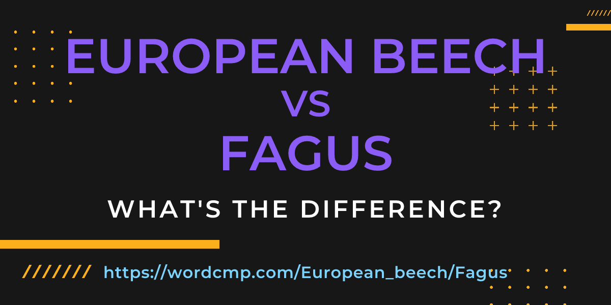Difference between European beech and Fagus