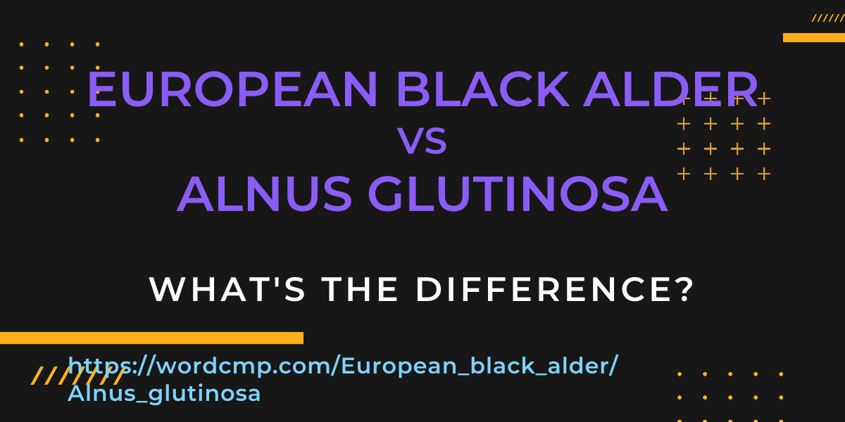 Difference between European black alder and Alnus glutinosa
