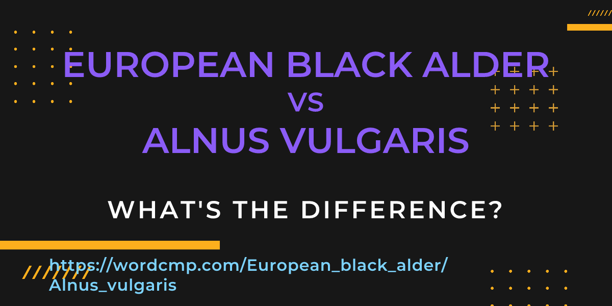 Difference between European black alder and Alnus vulgaris