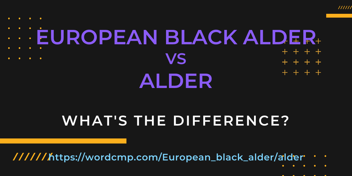 Difference between European black alder and alder