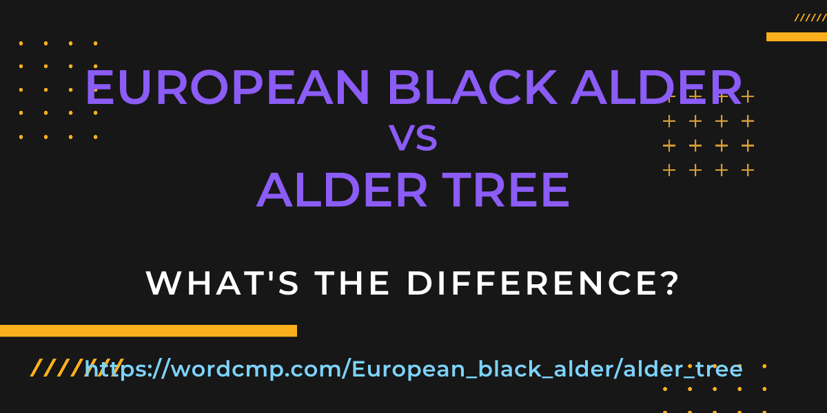 Difference between European black alder and alder tree