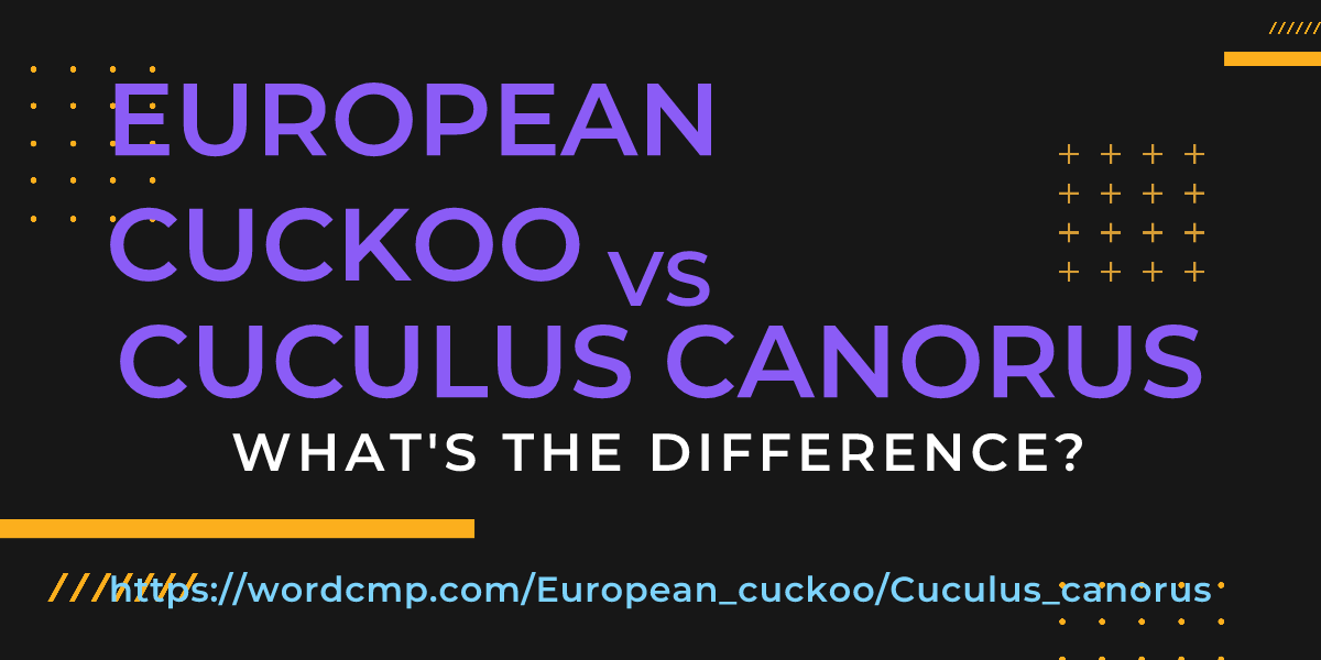 Difference between European cuckoo and Cuculus canorus