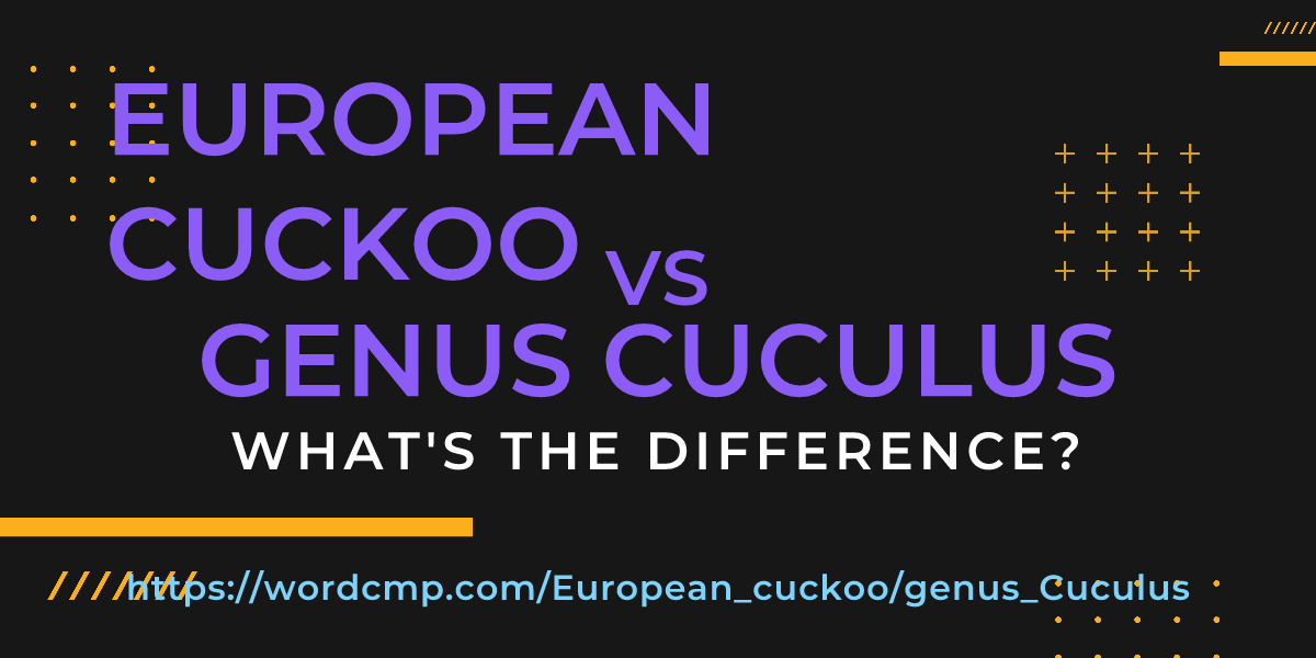 Difference between European cuckoo and genus Cuculus