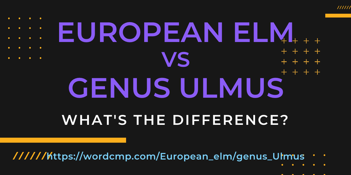 Difference between European elm and genus Ulmus