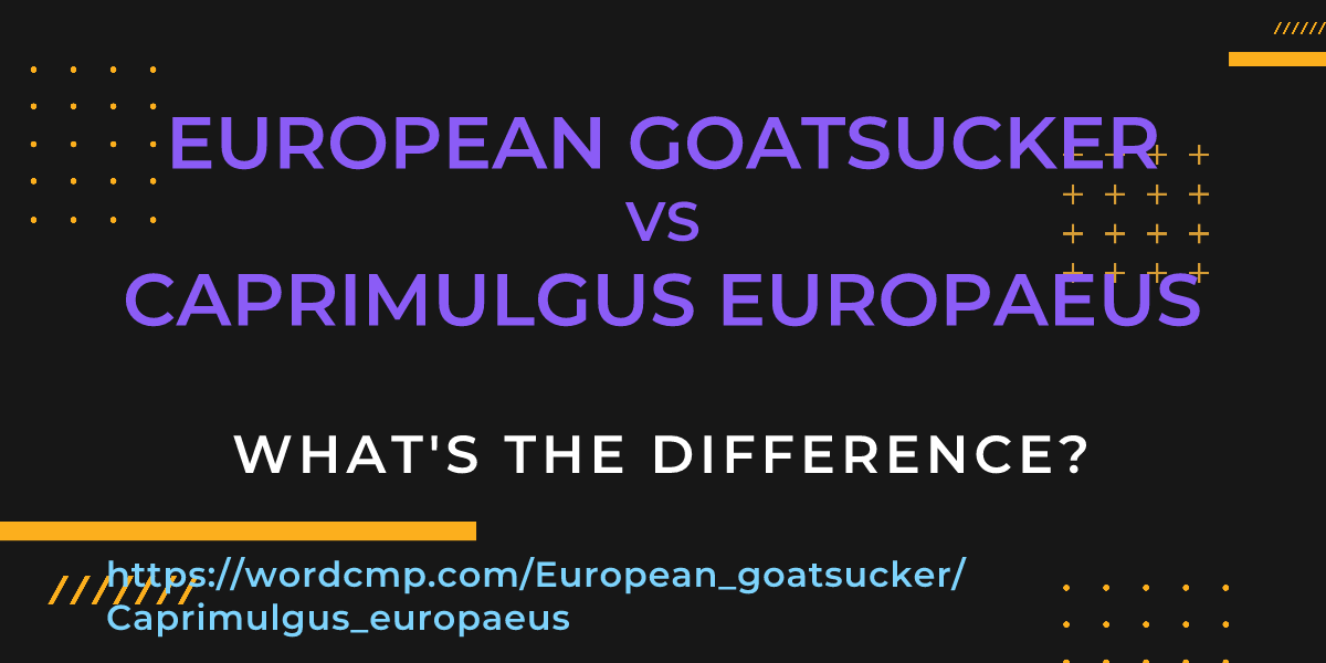 Difference between European goatsucker and Caprimulgus europaeus