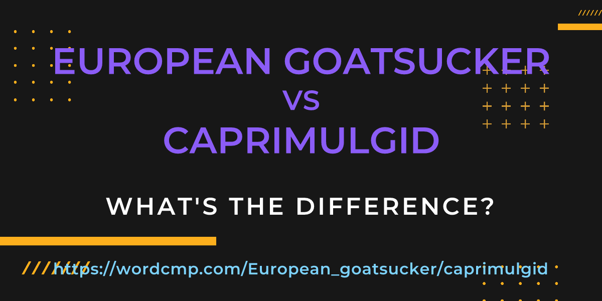 Difference between European goatsucker and caprimulgid