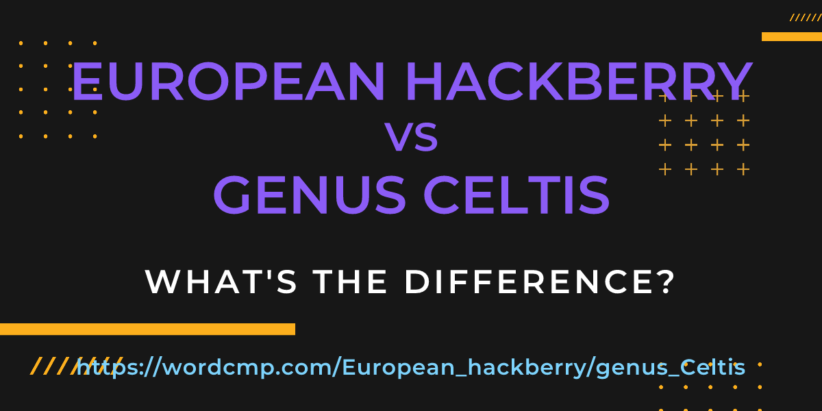 Difference between European hackberry and genus Celtis