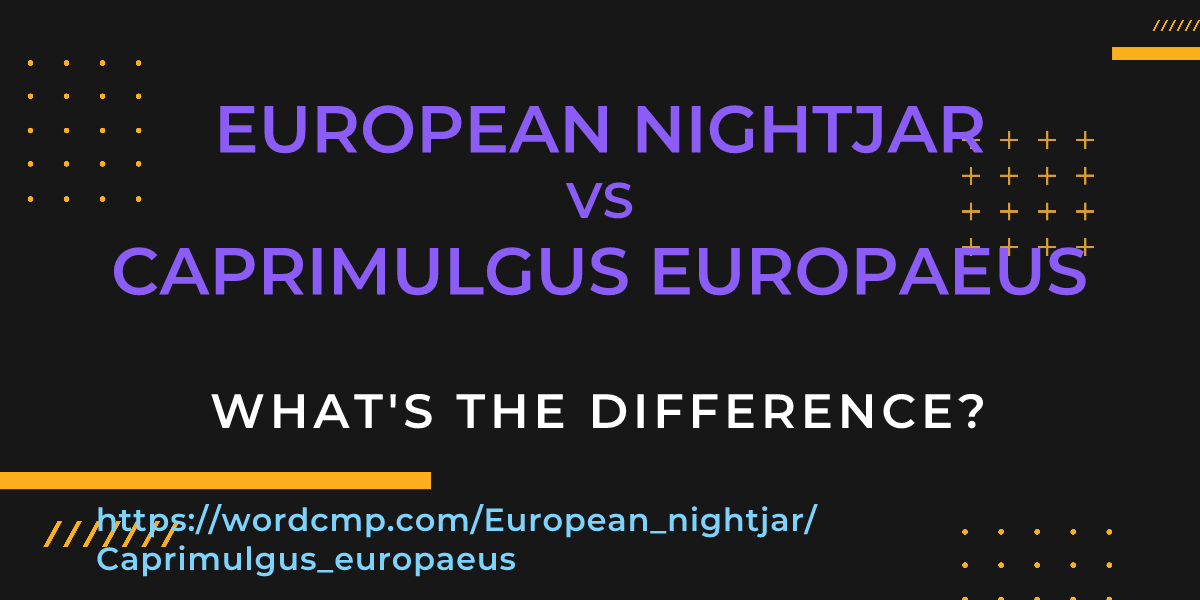 Difference between European nightjar and Caprimulgus europaeus
