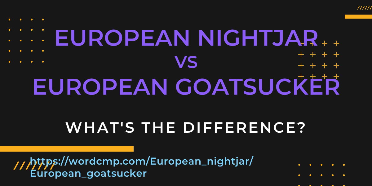 Difference between European nightjar and European goatsucker