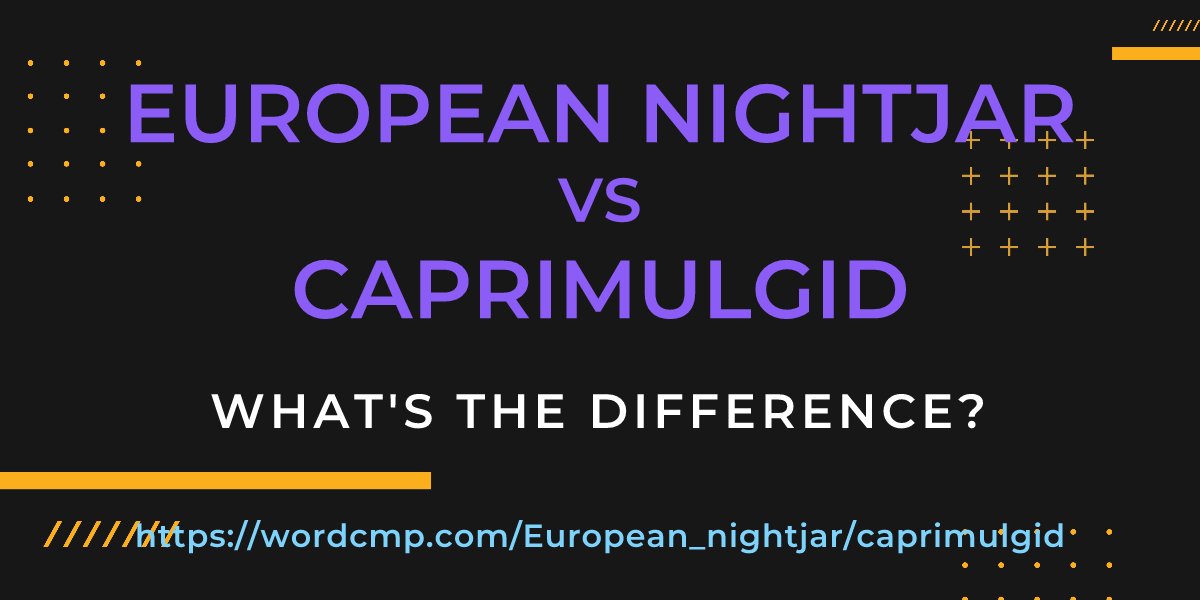 Difference between European nightjar and caprimulgid