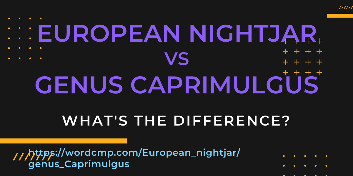 Difference between European nightjar and genus Caprimulgus