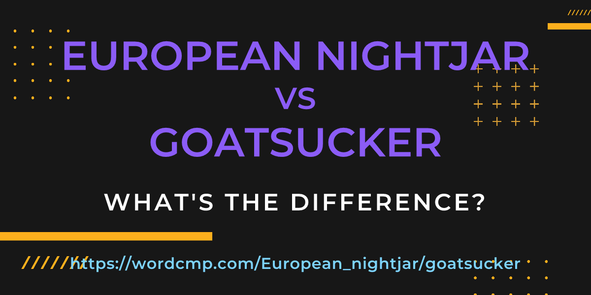 Difference between European nightjar and goatsucker