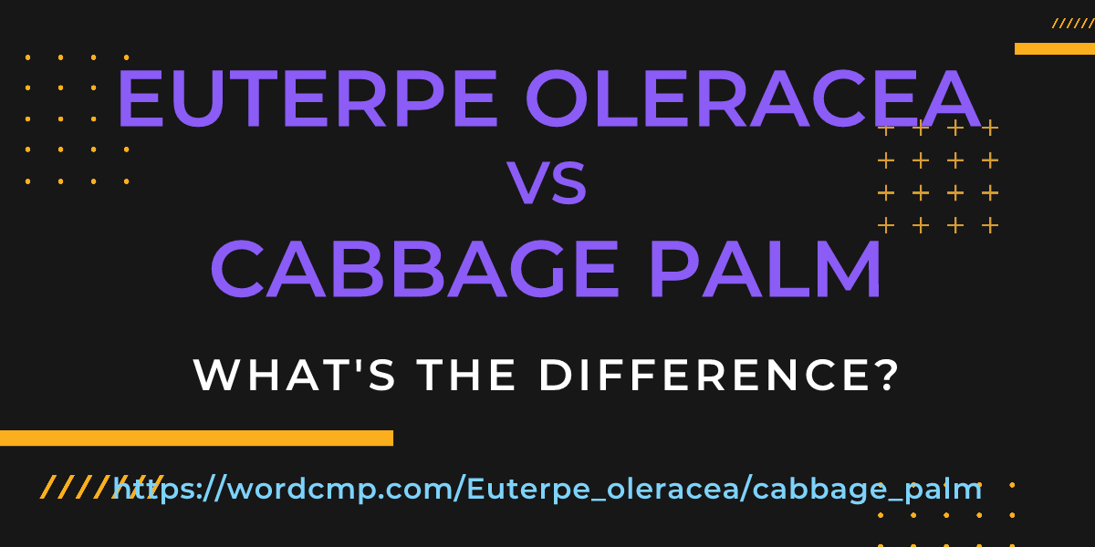 Difference between Euterpe oleracea and cabbage palm