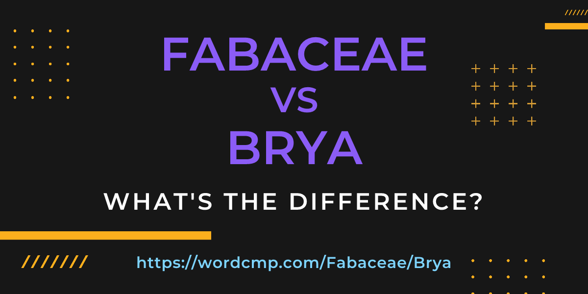 Difference between Fabaceae and Brya