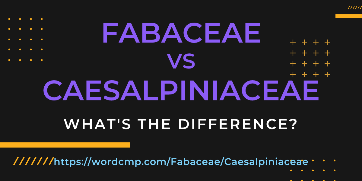 Difference between Fabaceae and Caesalpiniaceae