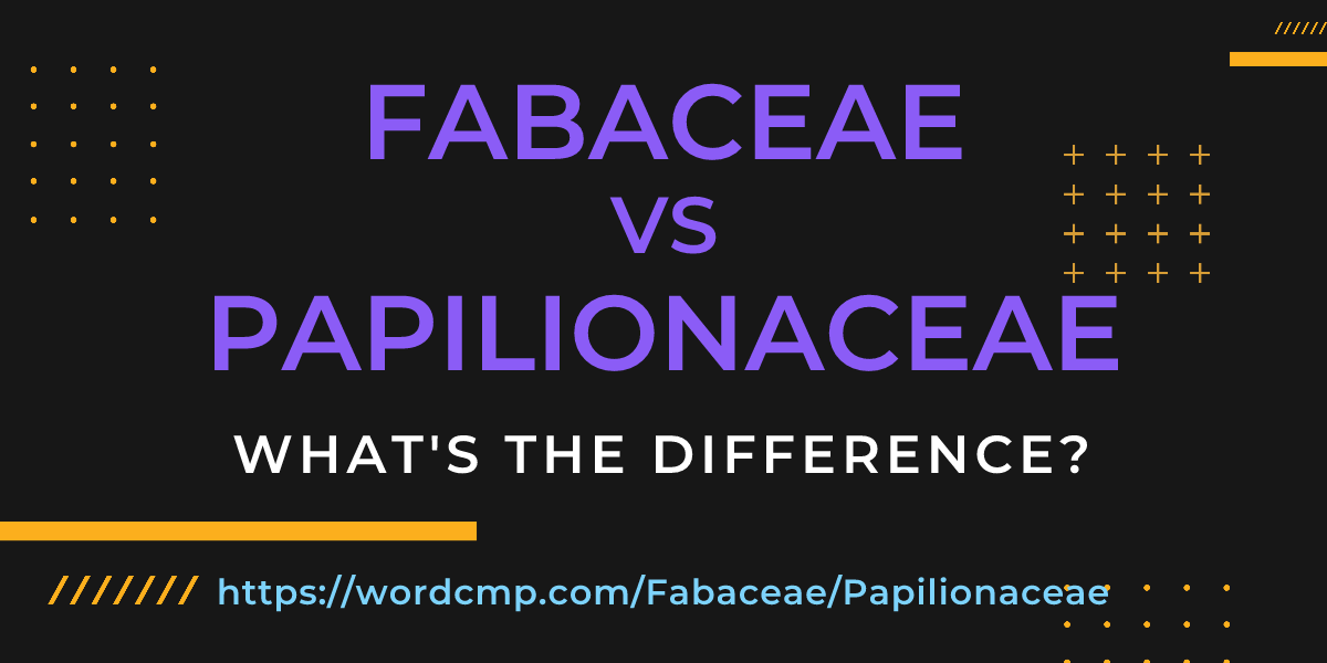 Difference between Fabaceae and Papilionaceae