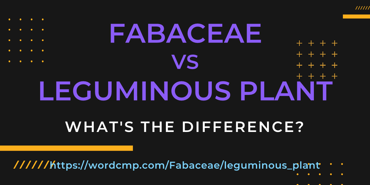 Difference between Fabaceae and leguminous plant