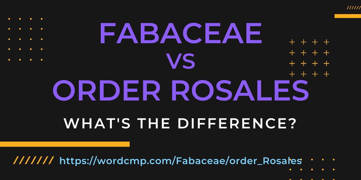 Difference between Fabaceae and order Rosales