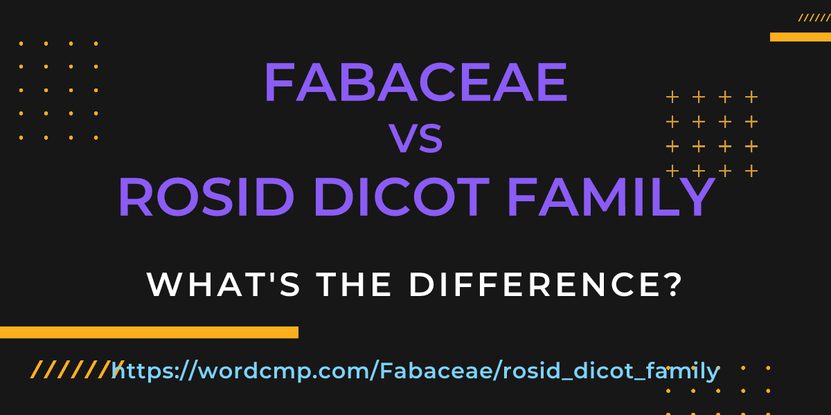 Difference between Fabaceae and rosid dicot family