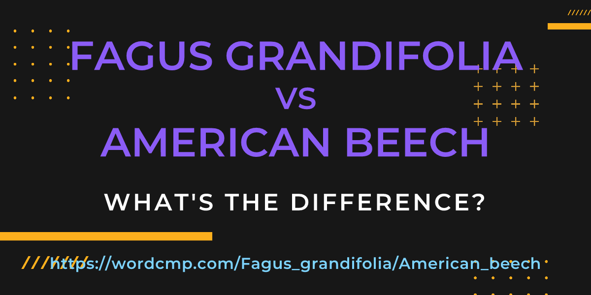 Difference between Fagus grandifolia and American beech
