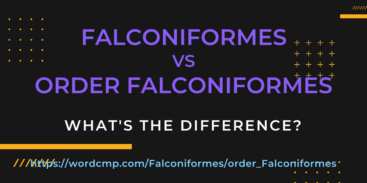 Difference between Falconiformes and order Falconiformes
