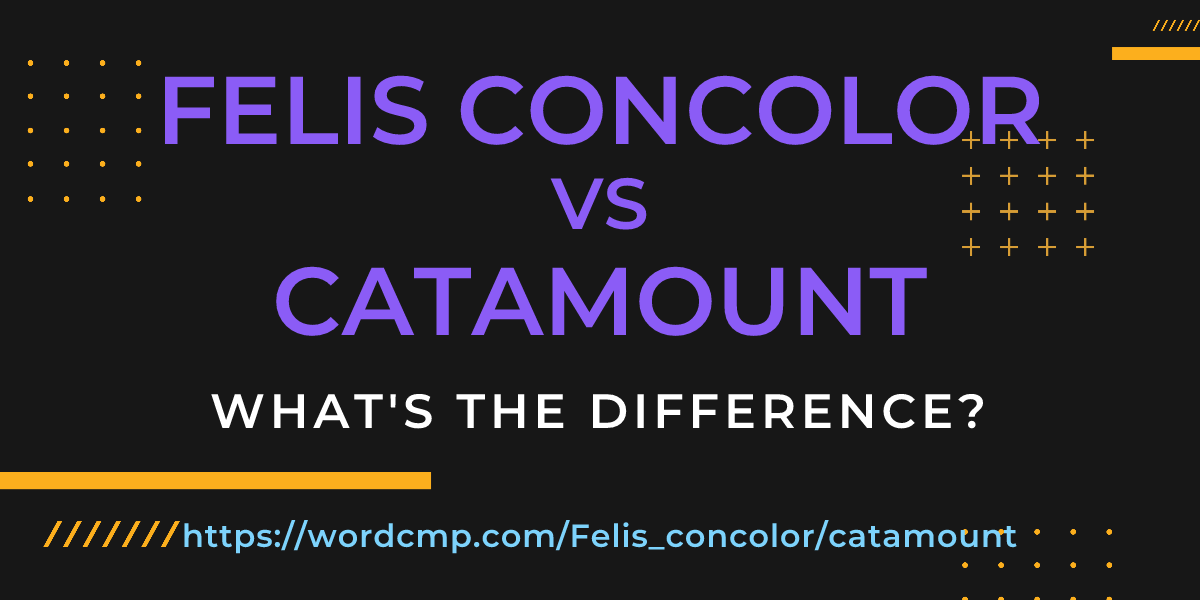 Difference between Felis concolor and catamount