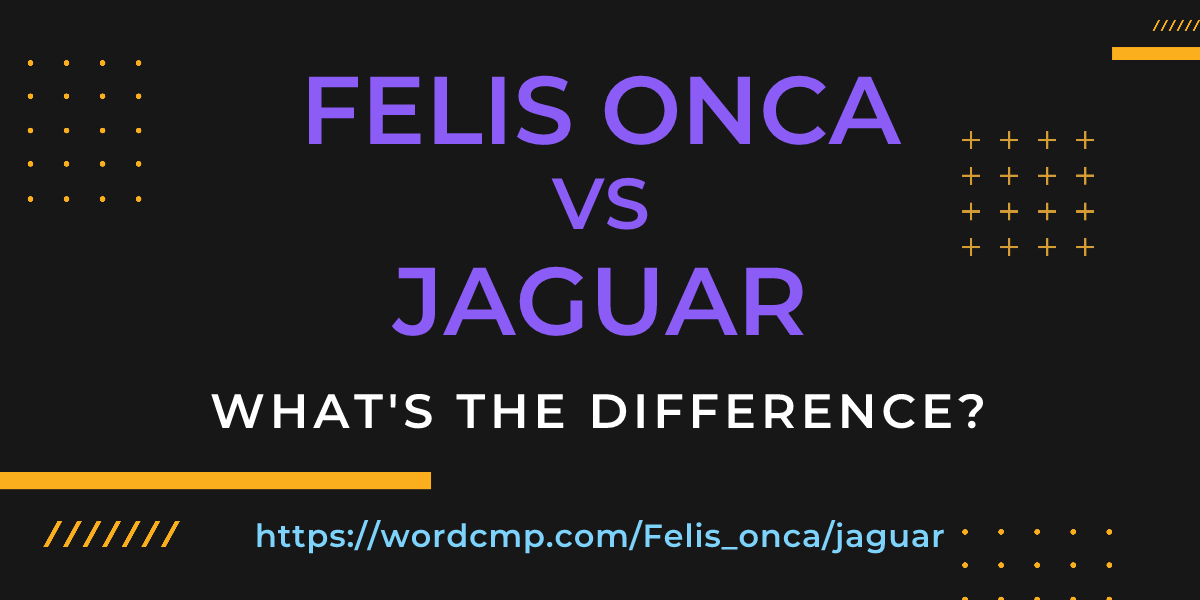 Difference between Felis onca and jaguar