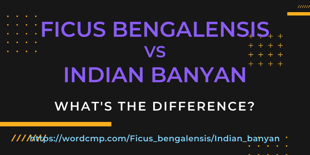 Difference between Ficus bengalensis and Indian banyan