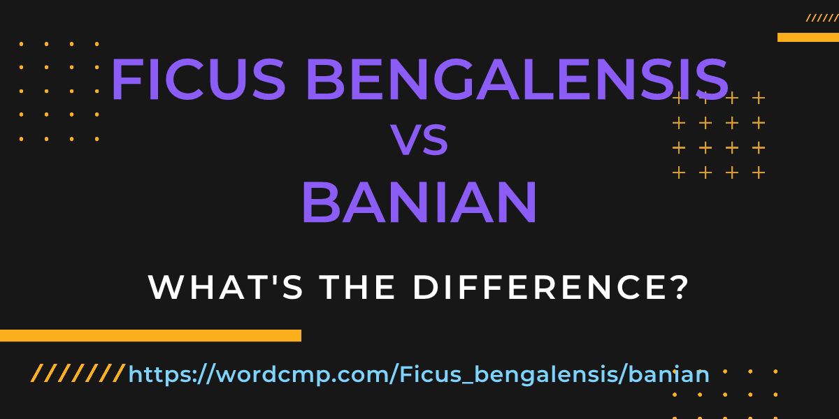 Difference between Ficus bengalensis and banian