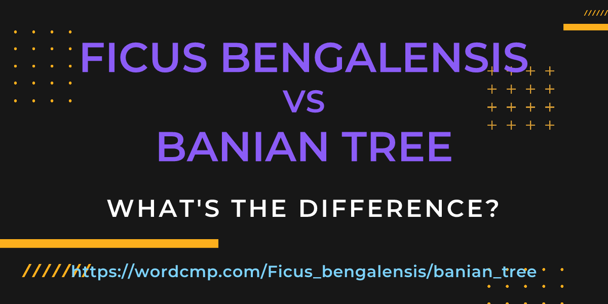Difference between Ficus bengalensis and banian tree