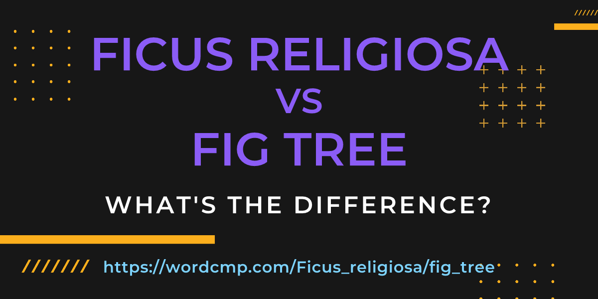 Difference between Ficus religiosa and fig tree