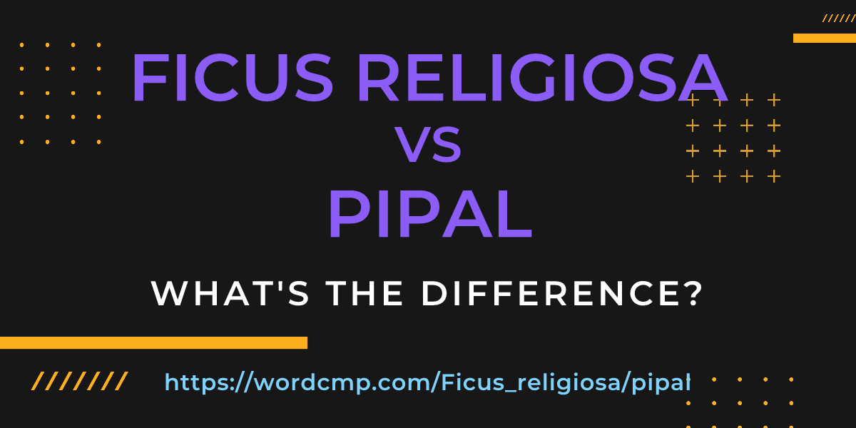 Difference between Ficus religiosa and pipal